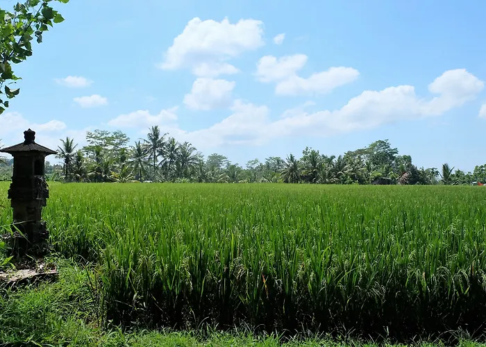 Villa Santun Luxury Private